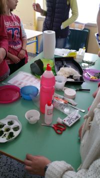 foto 002 Giornata della terra 2015.jpg