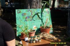 foto 008 Giornata della terra 2015.jpg